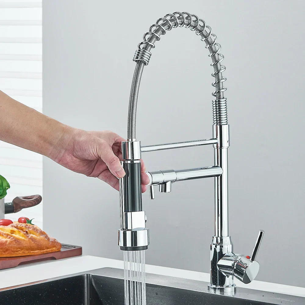 SpringFlow Kitchen Faucet With Double Outlet