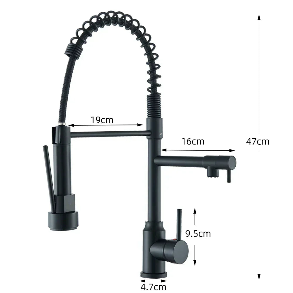 SpringFlow Kitchen Faucet With Double Outlet