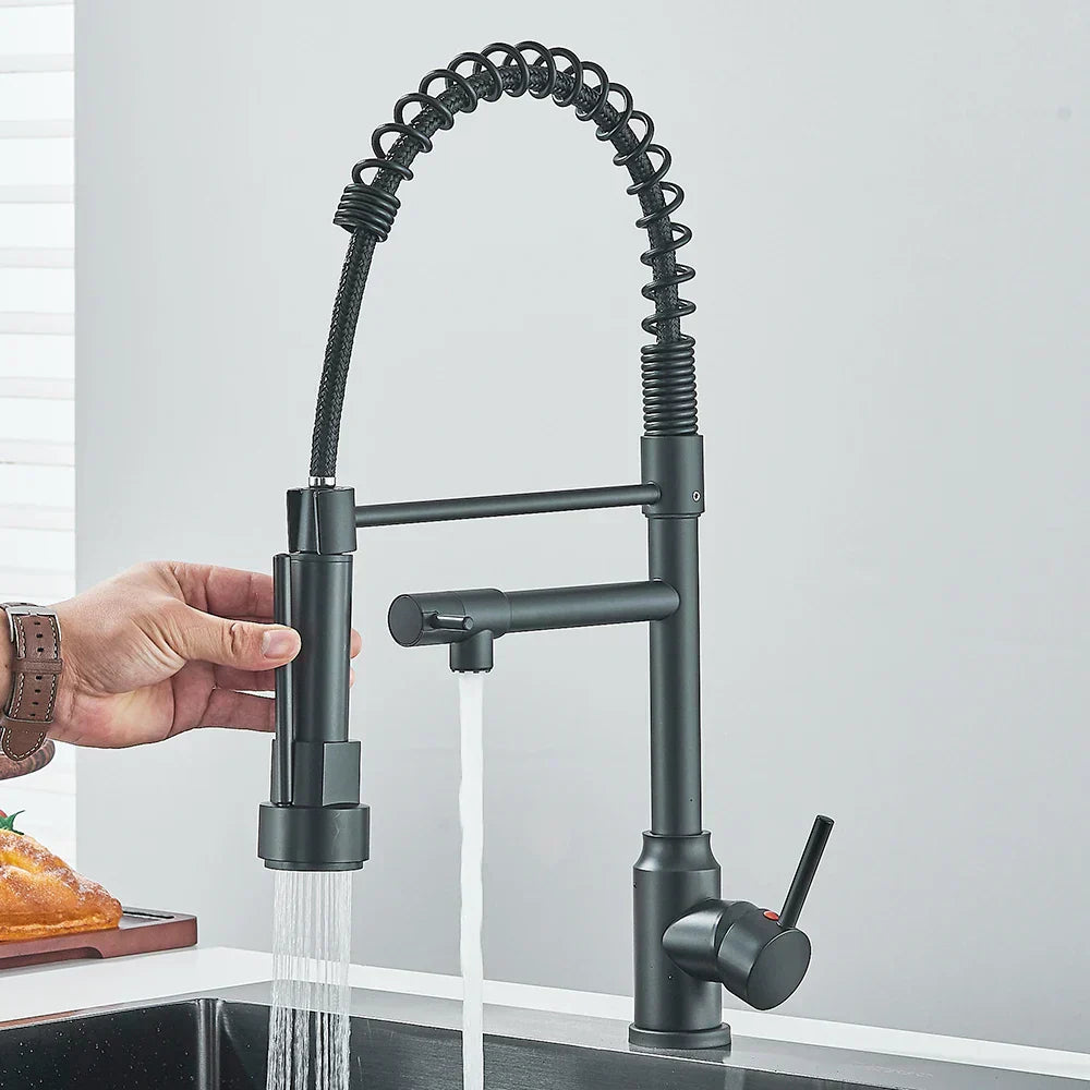 SpringFlow Kitchen Faucet With Double Outlet