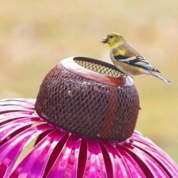 Coneflower Bird Feeder for Garden