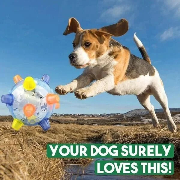 Jumping Activation Ball Toy For Dogs