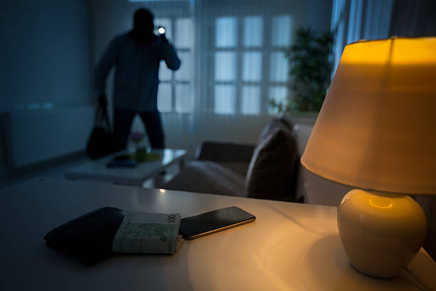 Mini Wireless Indoor Security Camera Pro