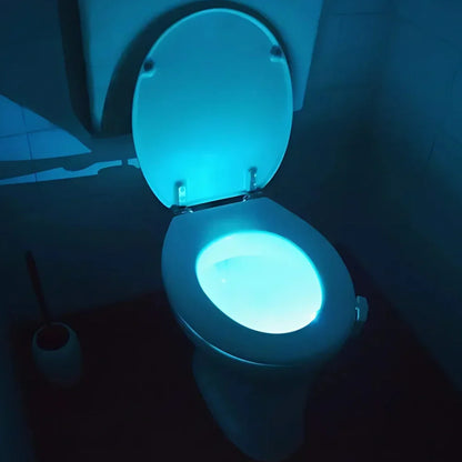 Toilet Night Light - Color-Changing Bowl Lamp