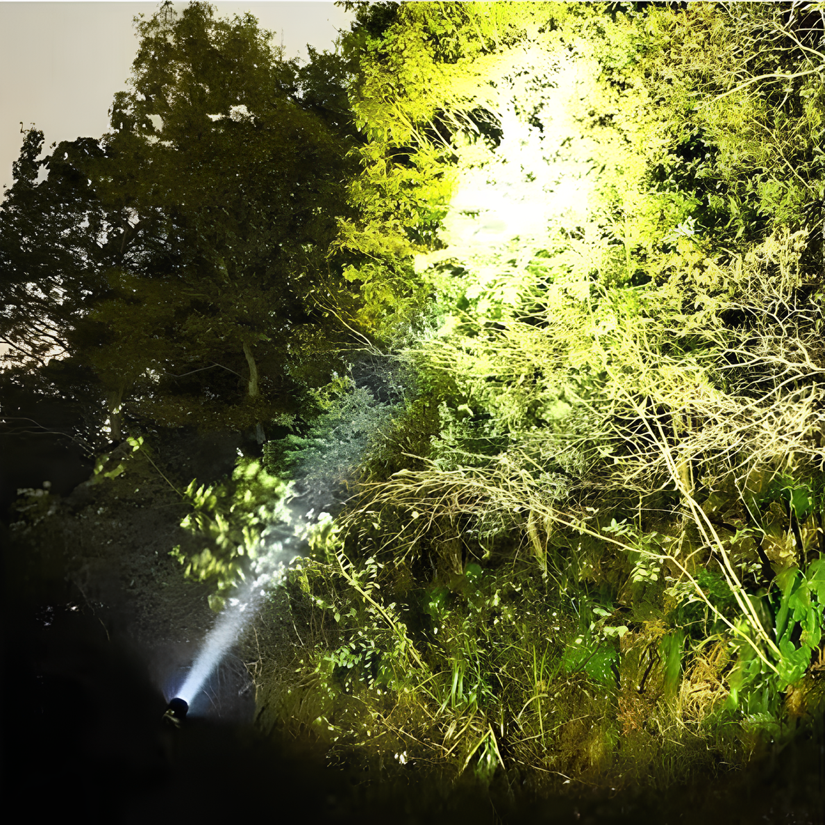 BeamMax LED Flashlight - High Lumen, Zoomable, Rechargeable