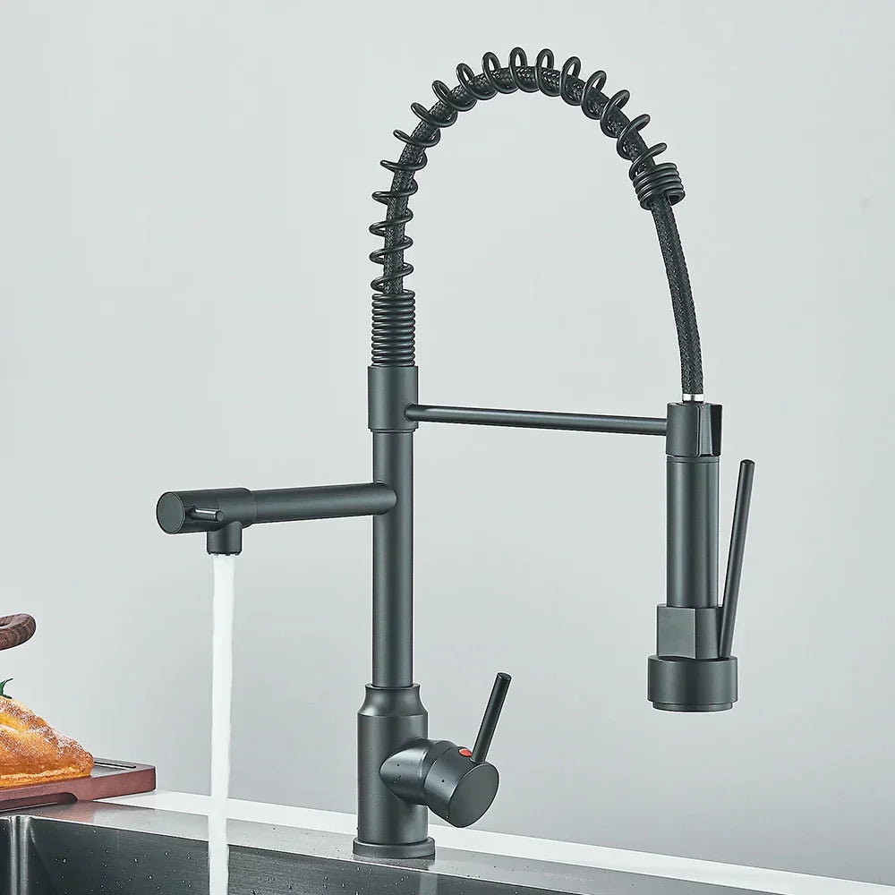 SpringFlow Kitchen Faucet With Double Outlet