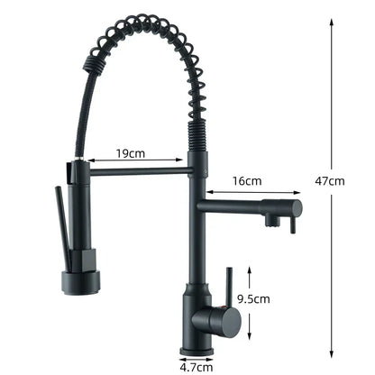 SpringFlow Kitchen Faucet With Double Outlet