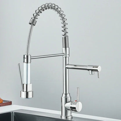 SpringFlow Kitchen Faucet With Double Outlet