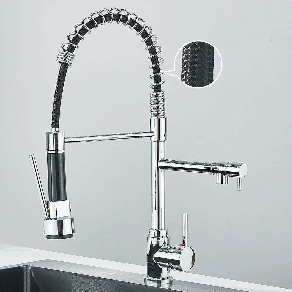 SpringFlow Kitchen Faucet With Double Outlet