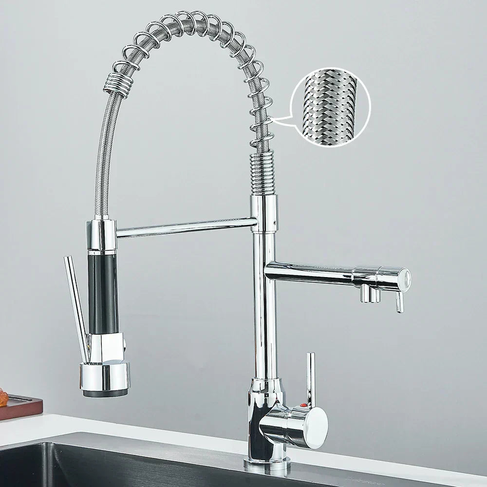 SpringFlow Kitchen Faucet With Double Outlet