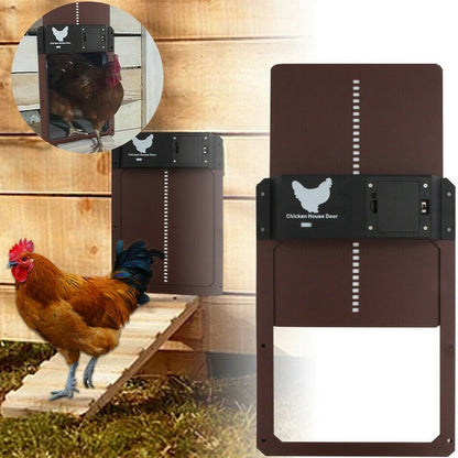 AutoCluck Automatic Pro Chicken Door