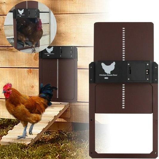 AutoCluck Automatic Pro Chicken Door