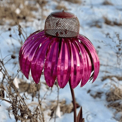 Coneflower Bird Feeder for Garden
