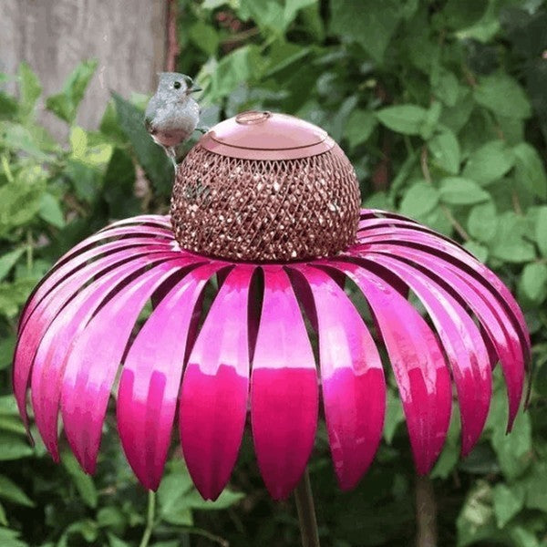 Coneflower Bird Feeder for Garden