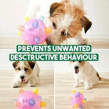 Jumping Activation Ball Toy For Dogs